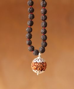 Rudraksha