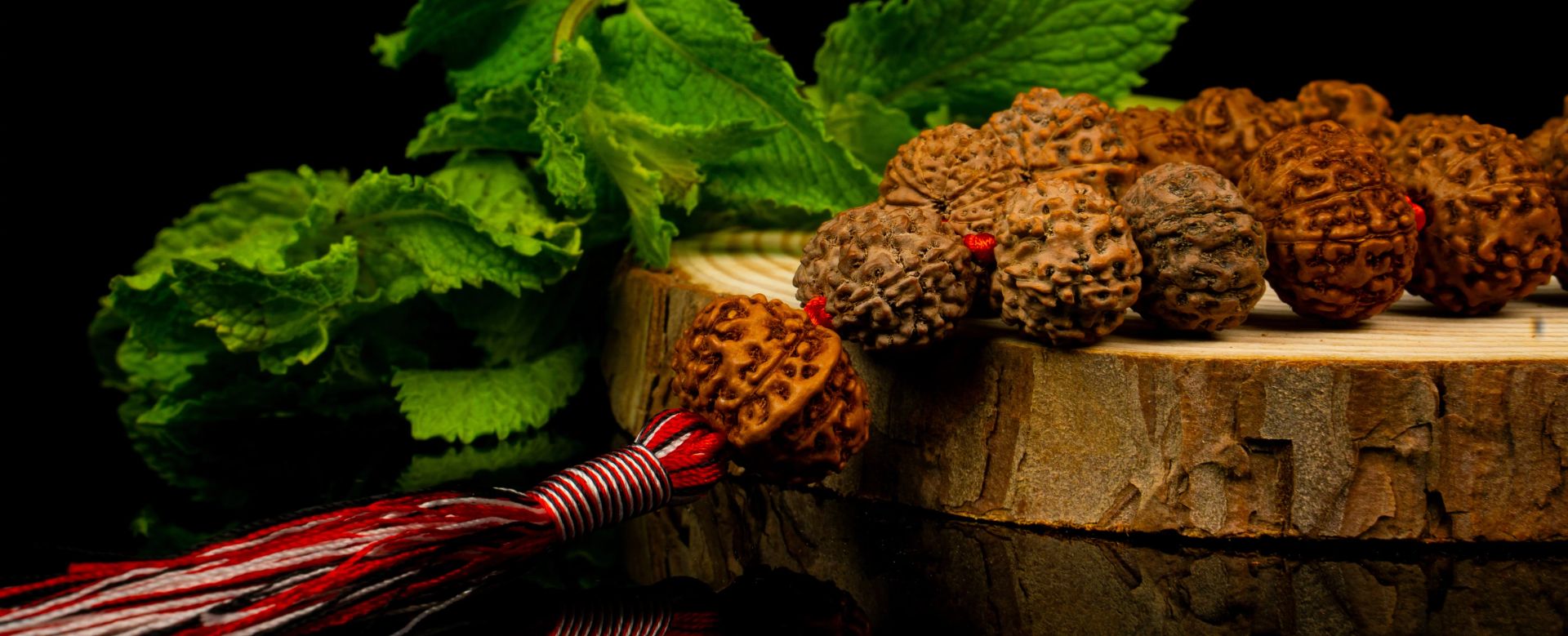Rudraksha - Vyas Astrology